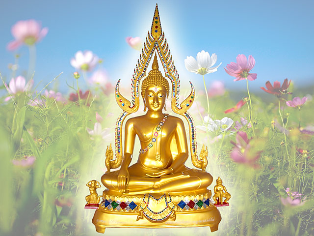 shinnarat small