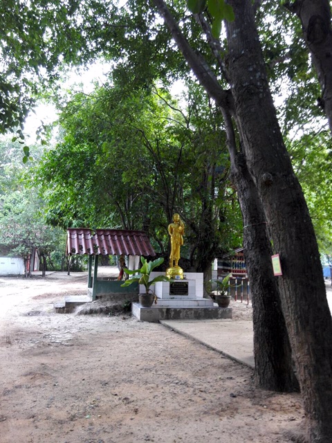 watnongho 003