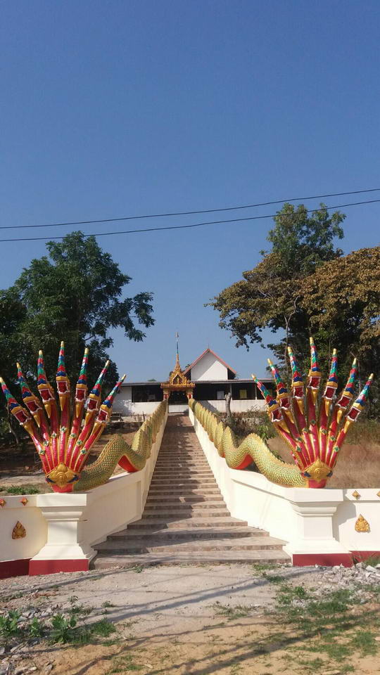 buddha watx4 006